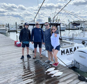 Rehoboth Beach Report Photo 2