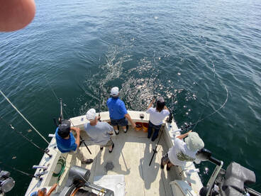 Mentor Report Photo 2
