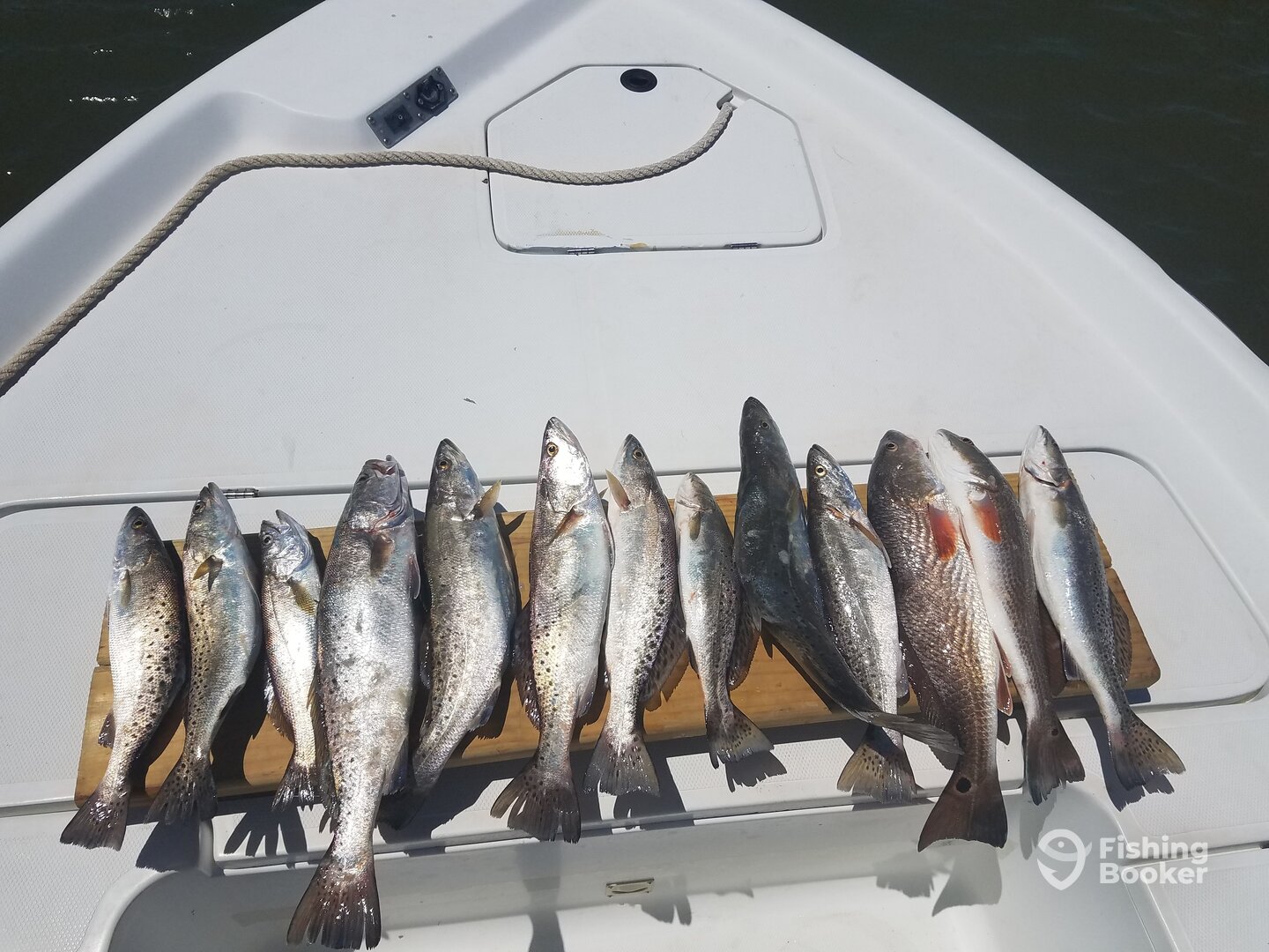 Gulf Shores Report Photo 0