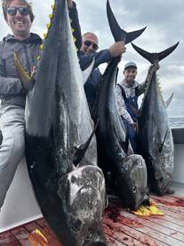 Epic kite fishing