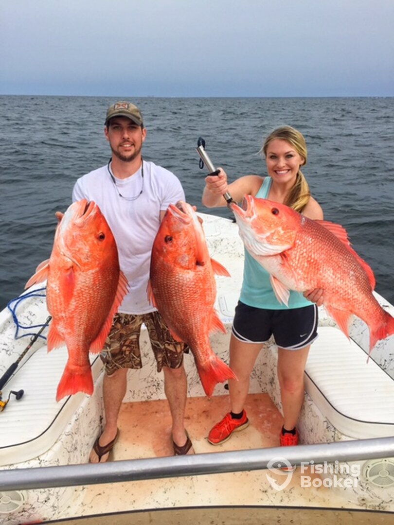 Gulf Shores Report Photo 0