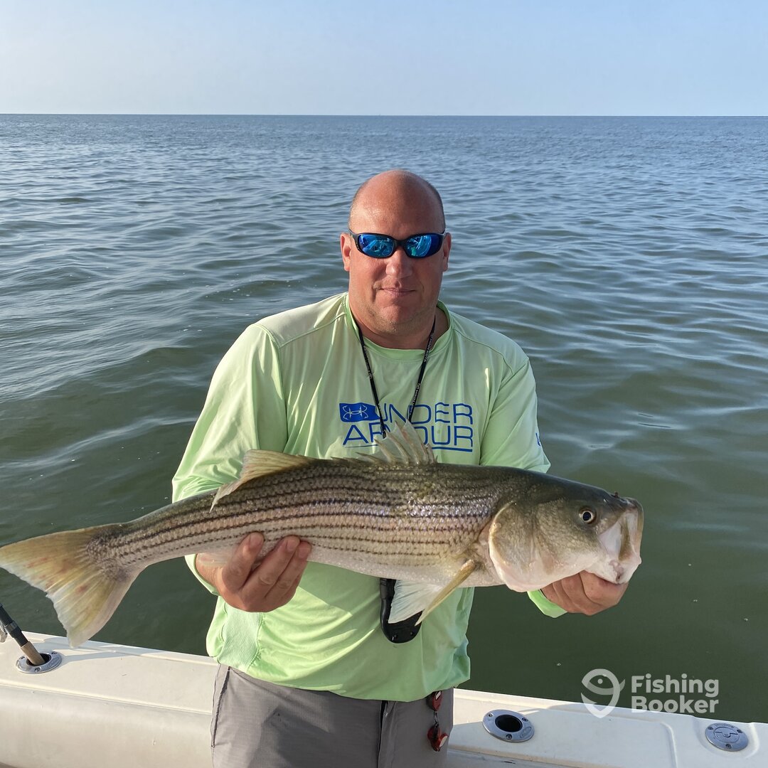 Nanticoke Report Photo 0