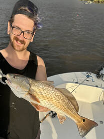 Savannah Report Photo 1