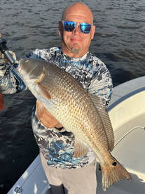 Strong winds and tides and big bites