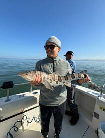 San Francisco Report Photo 2