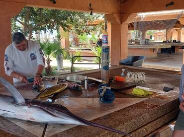 San Jose del Cabo Report Photo 2