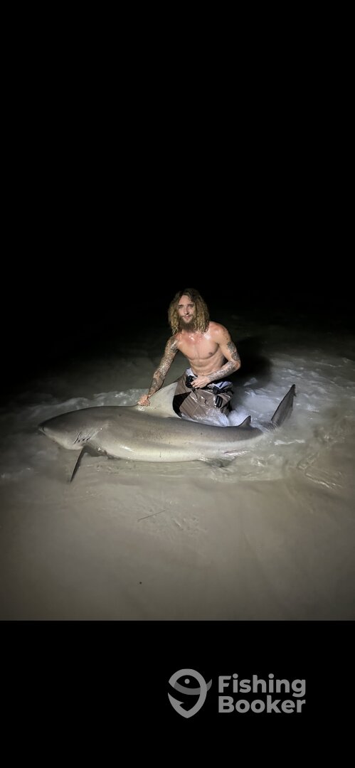 Destin Report Photo 0
