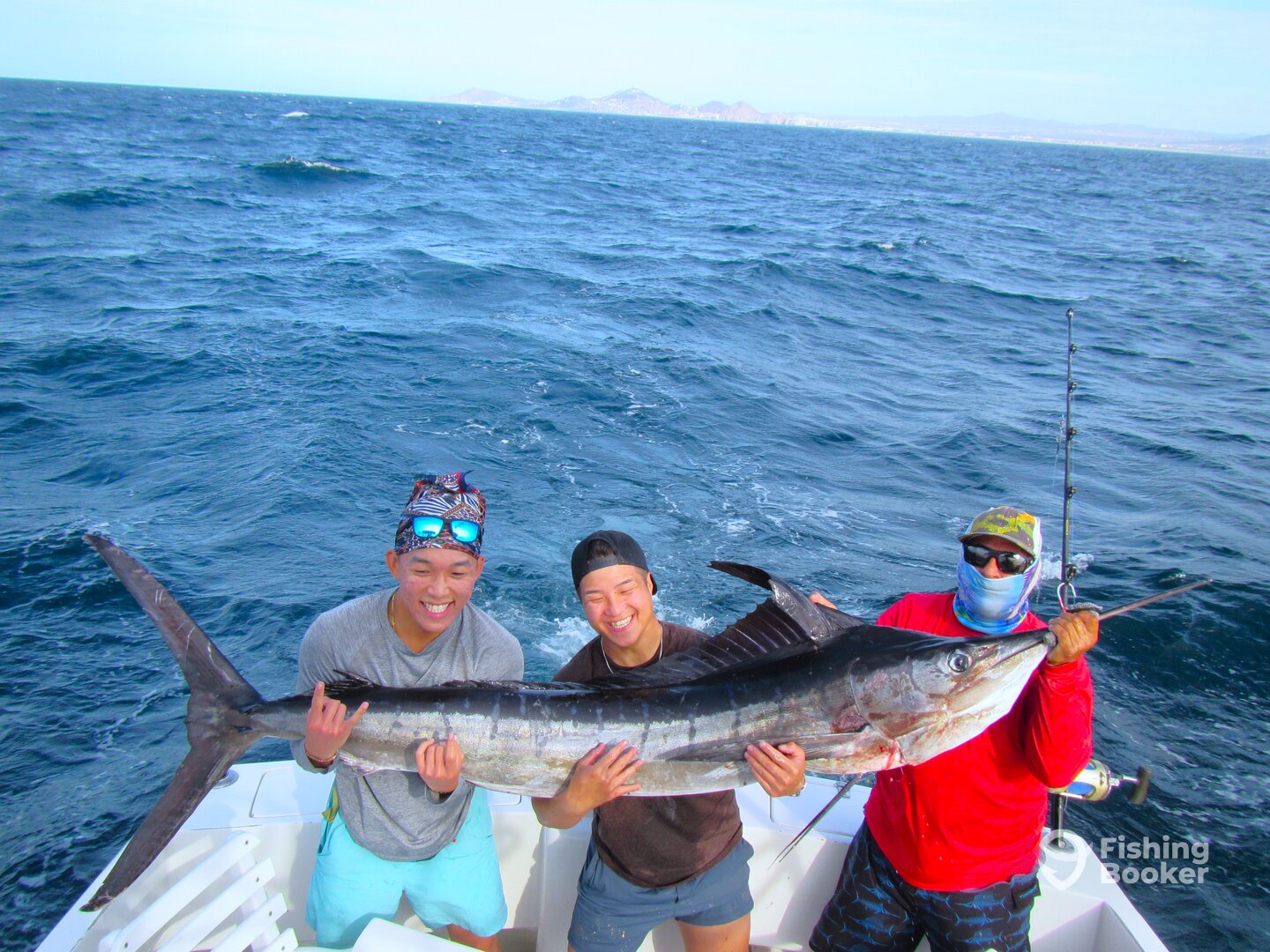 Cabo San Lucas Report Photo 0