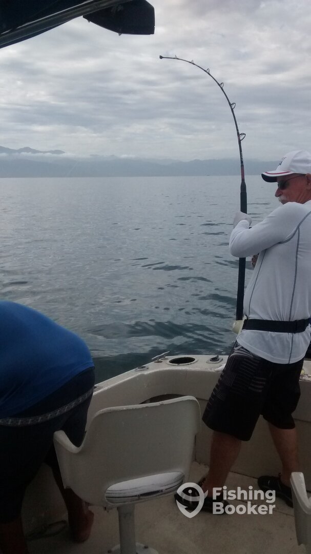 Puerto Vallarta Report Photo 0