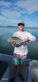 Shark week,Tarpon, and Jacks