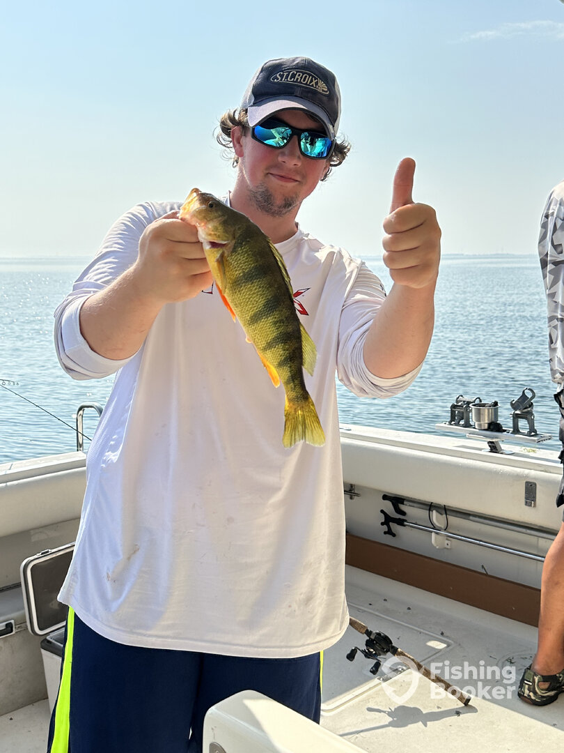 St. Clair Shores Report Photo 0