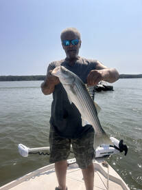King George Report Photo 2