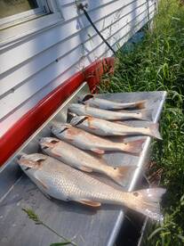 Manteo Report Photo 1