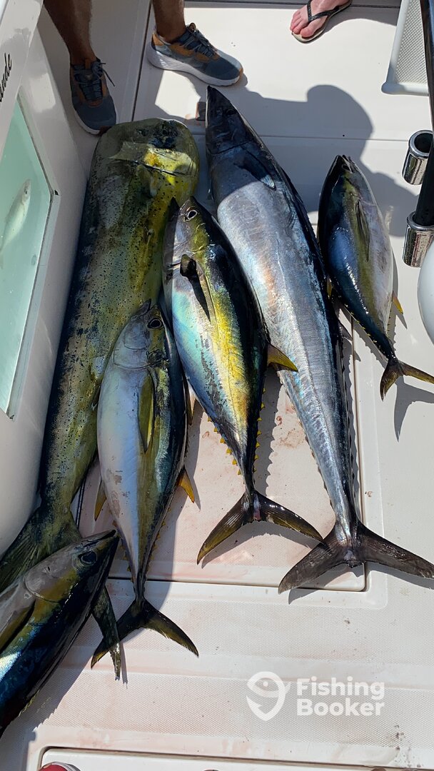 Cabo San Lucas Report Photo 0