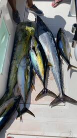 Triumphant Day at Sea: Pescado Grande 