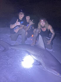 1 hammerhead 1 Sandbar shark