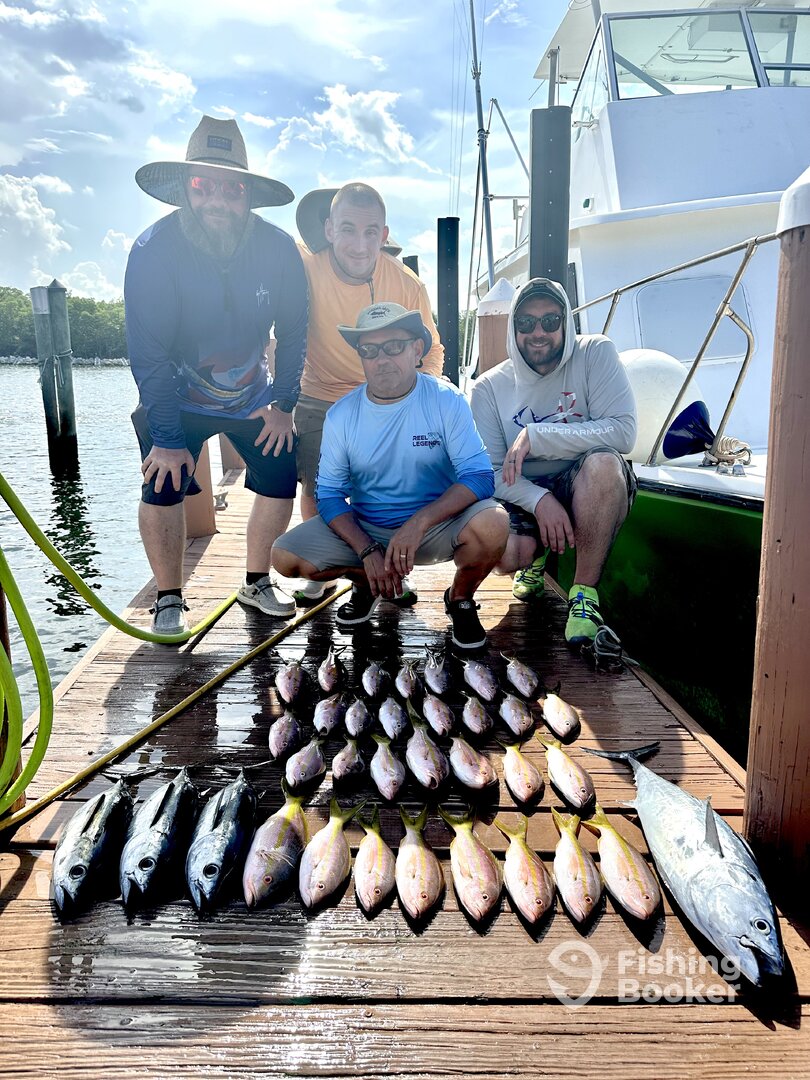 Dania Beach Report Photo 0