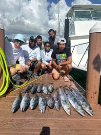 Dania Beach Report Photo 2