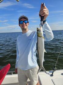 Bulls and Spanish mackerel!