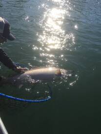 Soldotna Report Photo 1