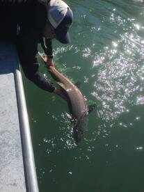 Soldotna Report Photo 2