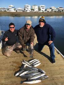 Ocean Isle Beach Report Photo 1