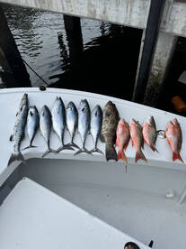 Nice morning snapper trip.