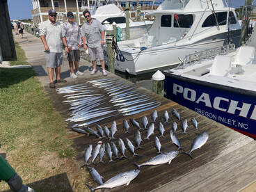 Nags Head Report Photo 1