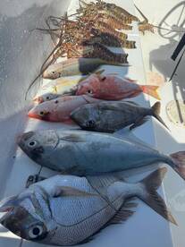 San Pedro Report Photo 1
