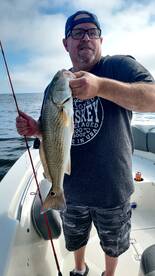 Murrells Inlet Report Photo 1