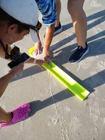 Flagler Beach Report Photo 2