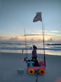 Flagler Beach Report Photo 1