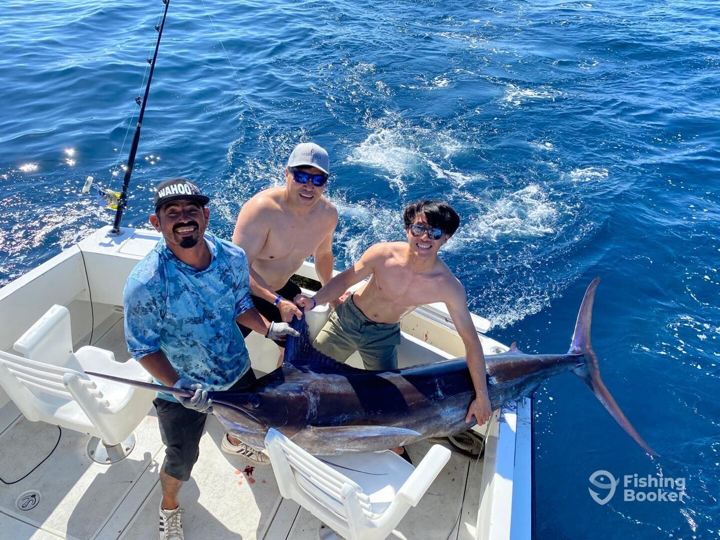 Cabo San Lucas Report Photo 0
