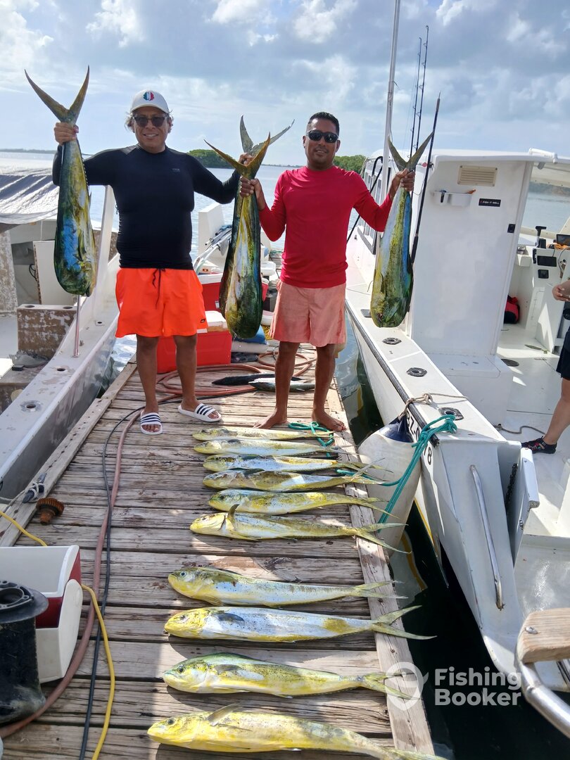 San Pedro Report Photo 0