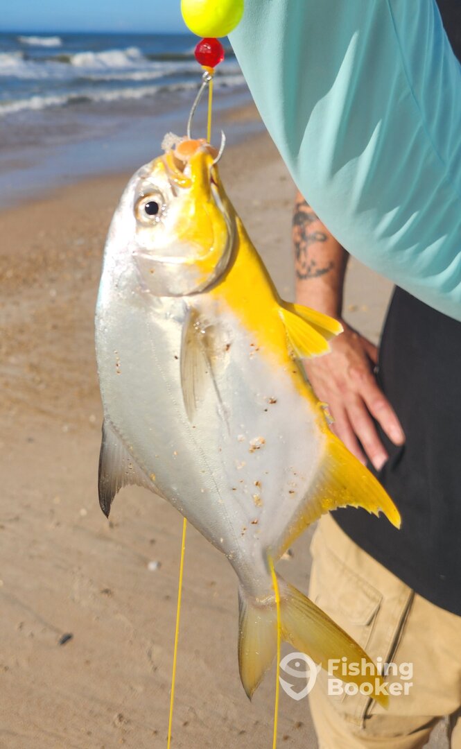 Kure Beach Report Photo 0