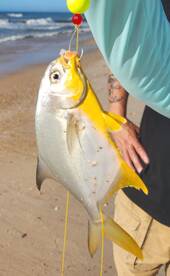 Zeroed In! FIRE FOR EFFECT!