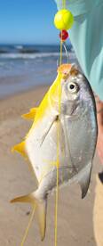 Kure Beach Report Photo 1