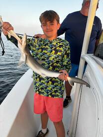 Murrells Inlet Report Photo 1