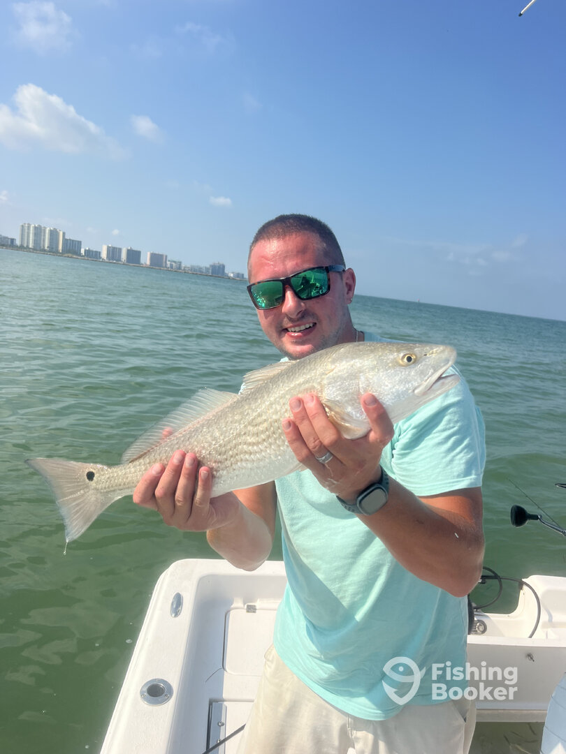Belleair Bluffs Report Photo 0
