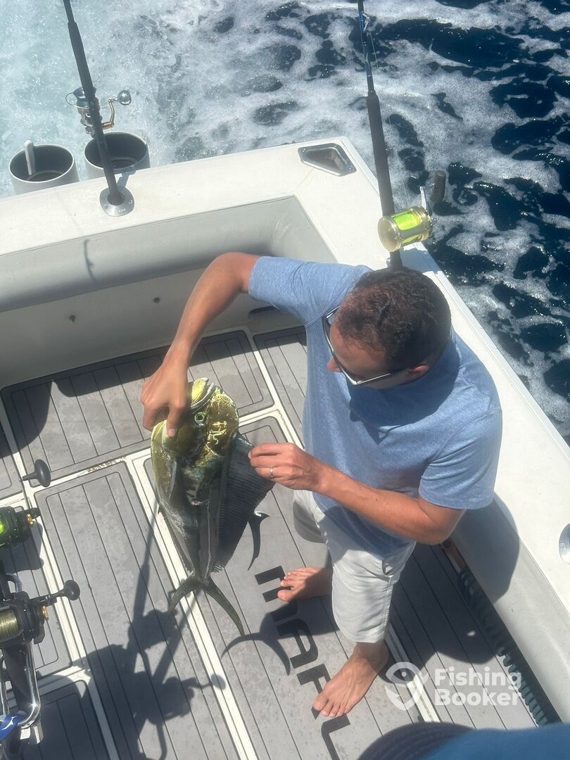 Cabo San Lucas Report Photo 0