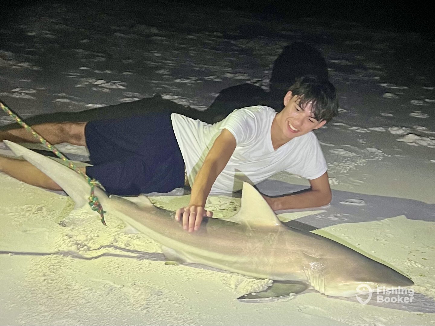 Navarre Report Photo 0