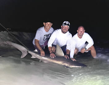 Navarre Report Photo 2