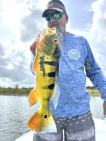 Carolina Report Photo 2