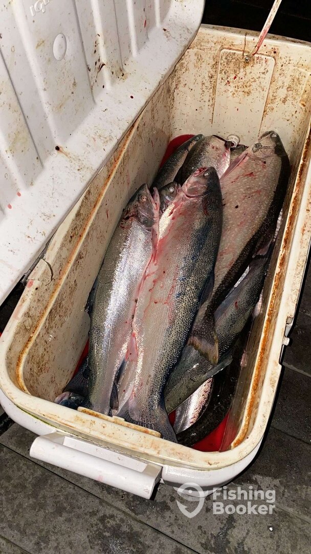 Montague Report Photo 0