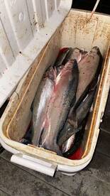 Big fish are still biting good!