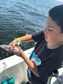 Murrells Inlet Report Photo 1