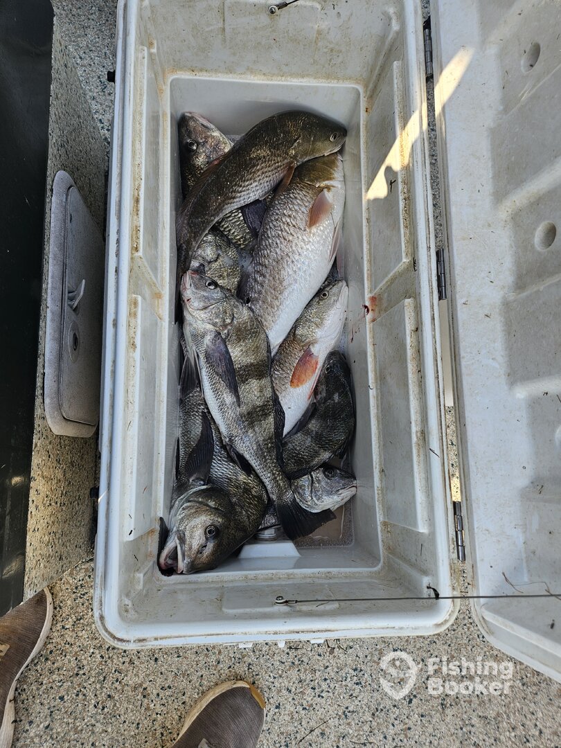Rockport Report Photo 0