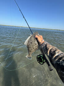 Brigantine Report Photo 1