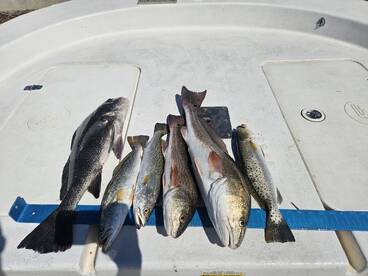 Inshore Fishing ? is on fire ? 