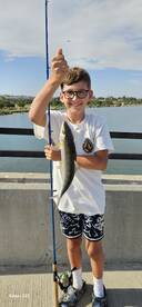 Bone Fishing San Diego Bay